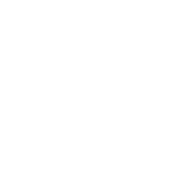 partner-1